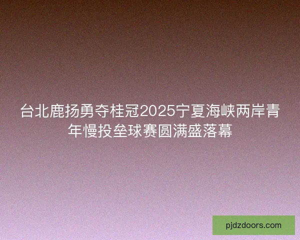 台北鹿扬勇夺桂冠2025宁夏海峡两岸青年慢投垒球赛圆满盛落幕