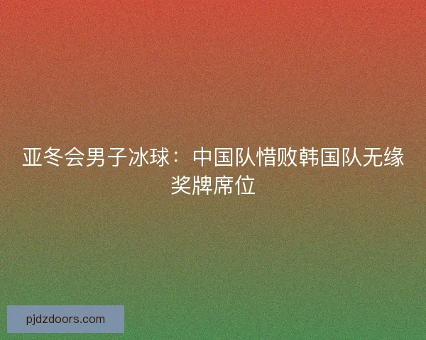 亚冬会男子冰球：中国队惜败韩国队无缘奖牌席位
