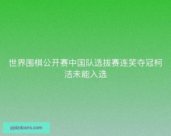 世界围棋公开赛中国队选拔赛连笑夺冠柯洁未能入选