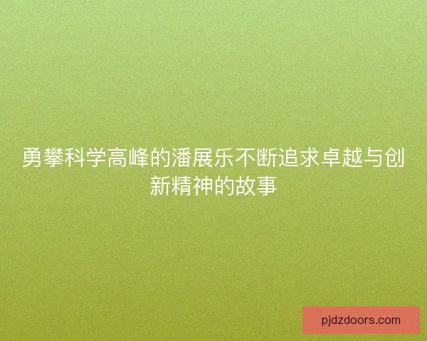 勇攀科学高峰的潘展乐不断追求卓越与创新精神的故事