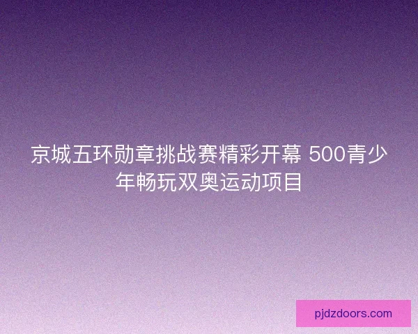 京城五环勋章挑战赛精彩开幕 500青少年畅玩双奥运动项目